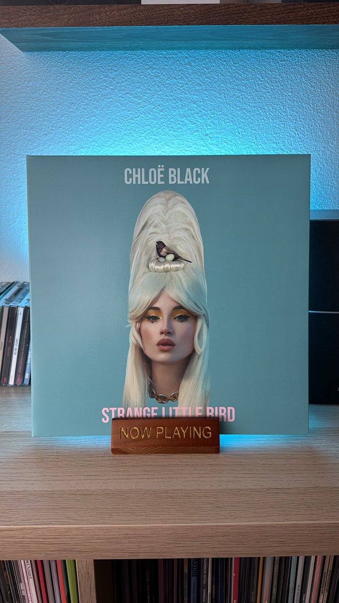 Dustin Morris tweet media