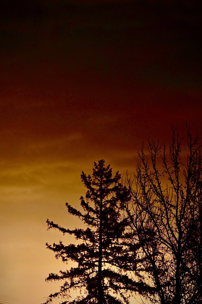 Syed Z. Ali tweet media