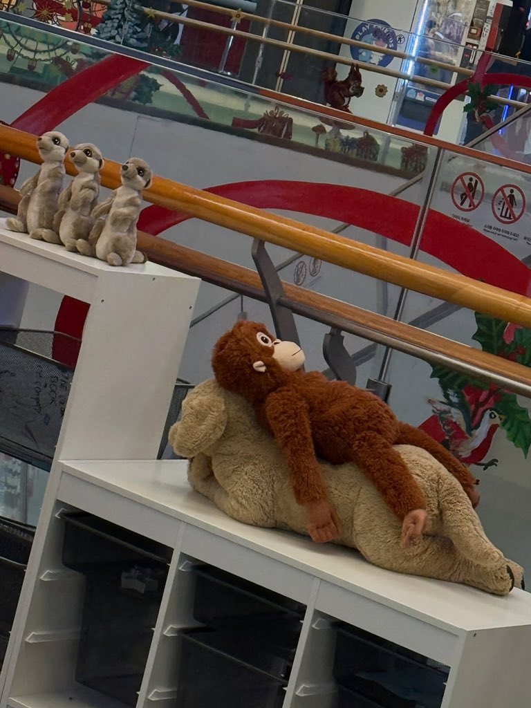 H1KEYFrance's tweet image. (🎞️) INSTAGRAM – 22.11.25 

#HWISEO ➥ 🥱🍟

› @H1KEY_official #H1KEY #하이키