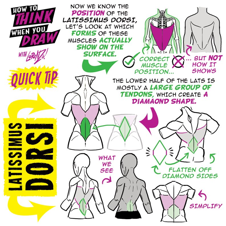 LATISSIMUS DORSI! To get the FREE monthly How to THINK When You draw digital MAGAZINE, (including NEW tutorials, a YEAR before they appear online) just tap the link in the bio HERE:  @etheringtonbros
#anime #manga #comicart #conceptart #gamedev #animationdev #illustration