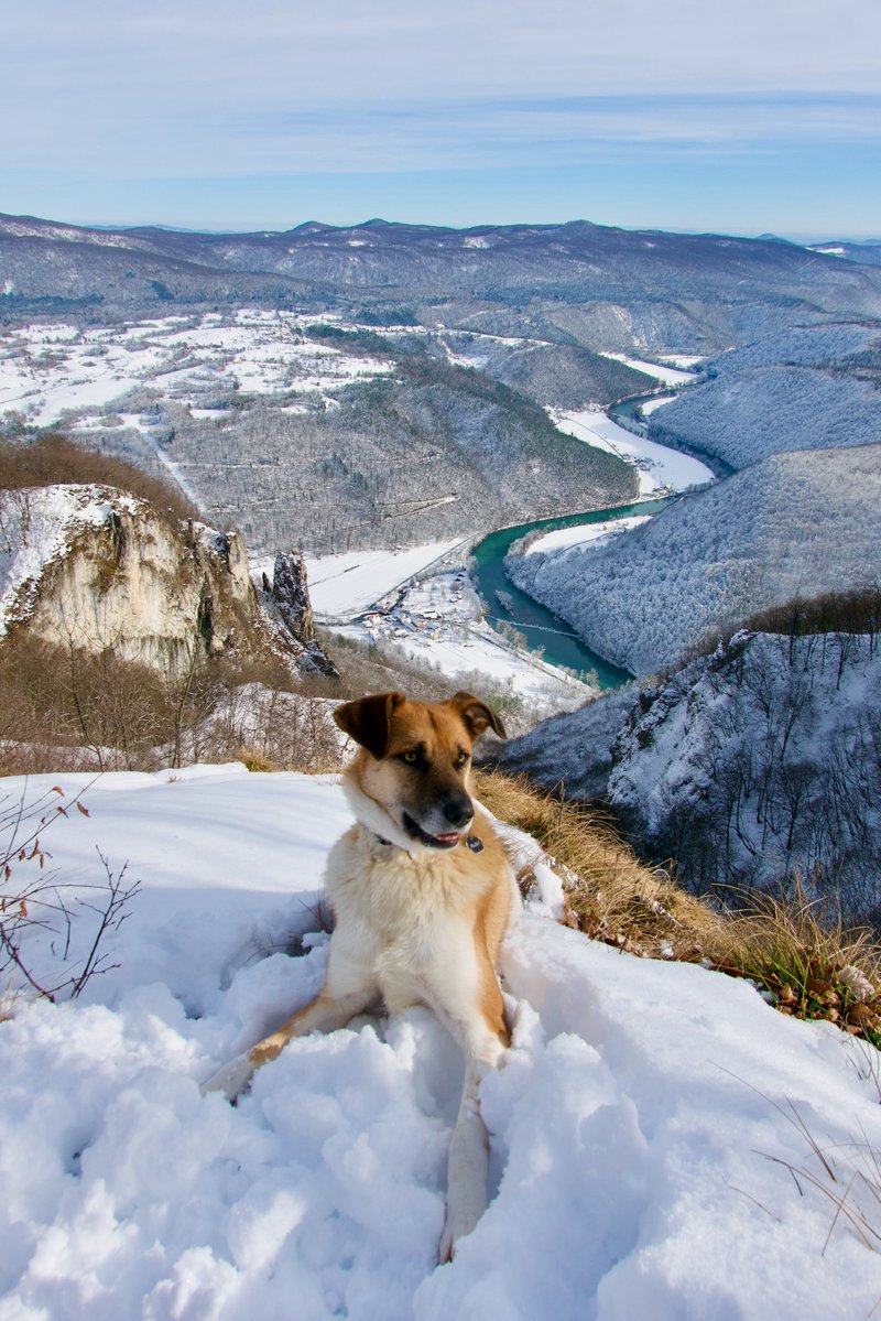 ExploringSlo's tweet image. There are no big mountains in the Kočevje area, only hills and forests as far as the eye can see. Every trail feels remote, the forests greener (or whiter in winter) than anywhere you’d walked before and you’re more likely to be greeted by a wild animal than a human being…