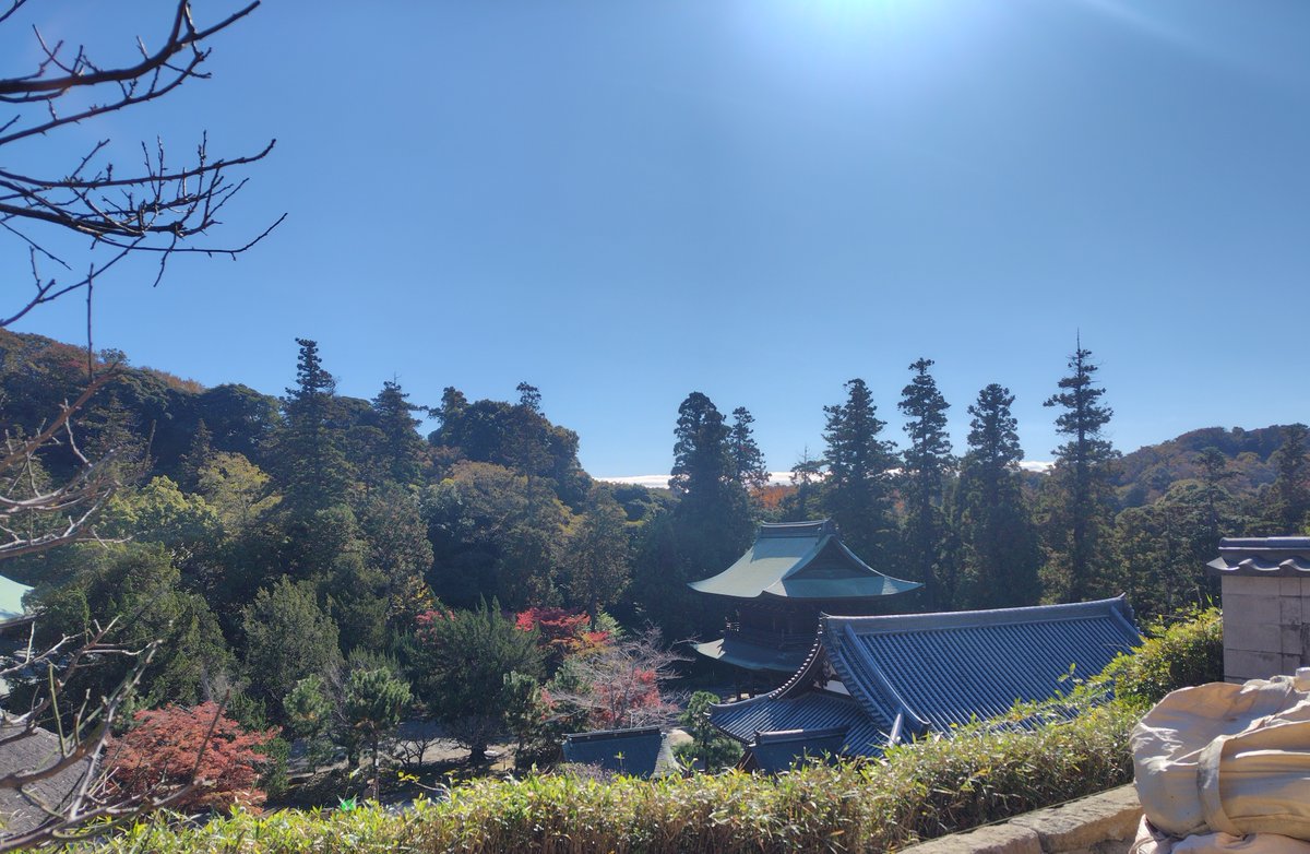 TeienI's tweet photo. 昨日は個人として、TERA-IGOに参加②

円覚寺さんは、鎌倉のお山経由の鎌倉散策コースとして何度か訪れましたが、帰源院さんは、恥ずかしながら初めて知りました。
夏目漱石ゆかりらしく、則天去私を座右の銘とする漱石好きの私として嬉しい限り。

散策は、本場の方の解説付。有難い。
写真は散策時。 https://t.co/oD6CAGpPiI