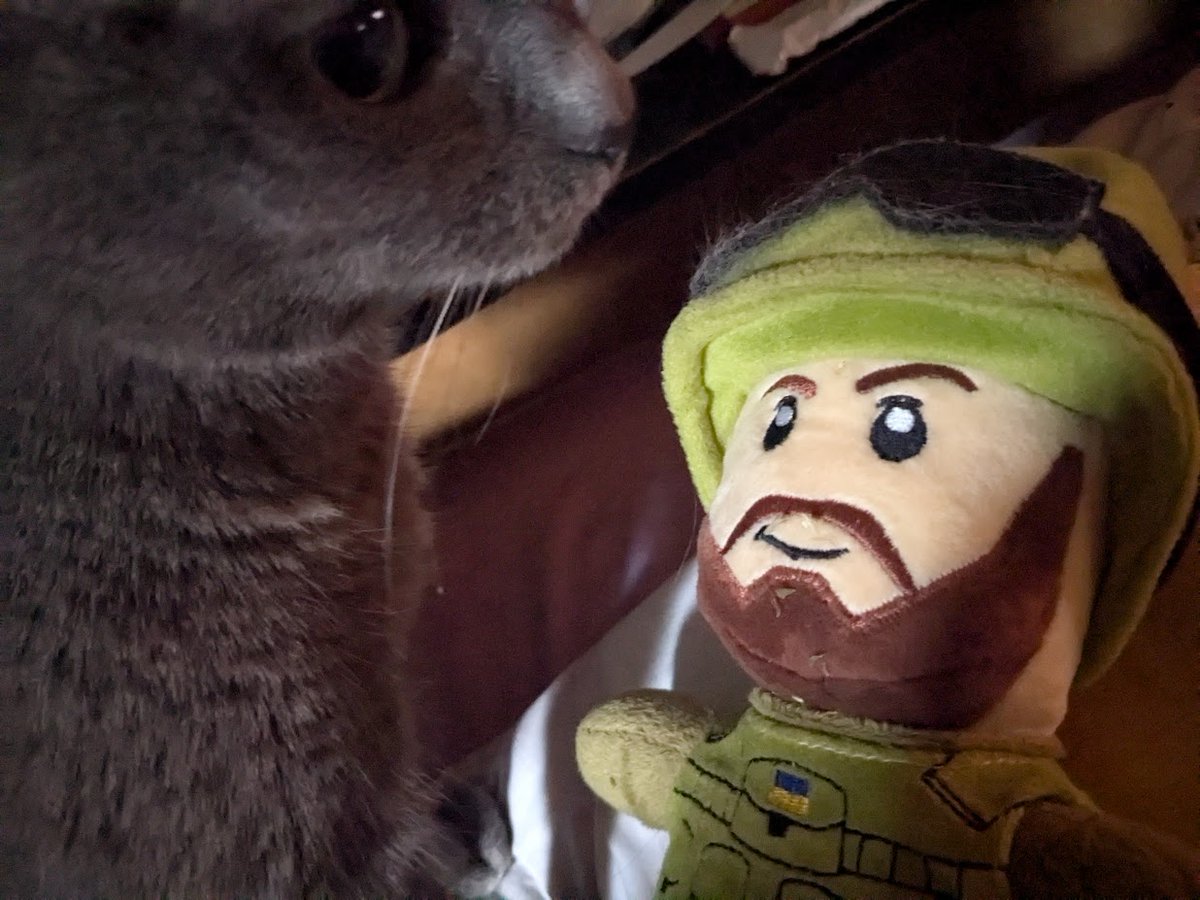 RhiannonSionne's tweet image. Thank you! And Elinor thanks you, too! 😺
#PetsHelpingPets