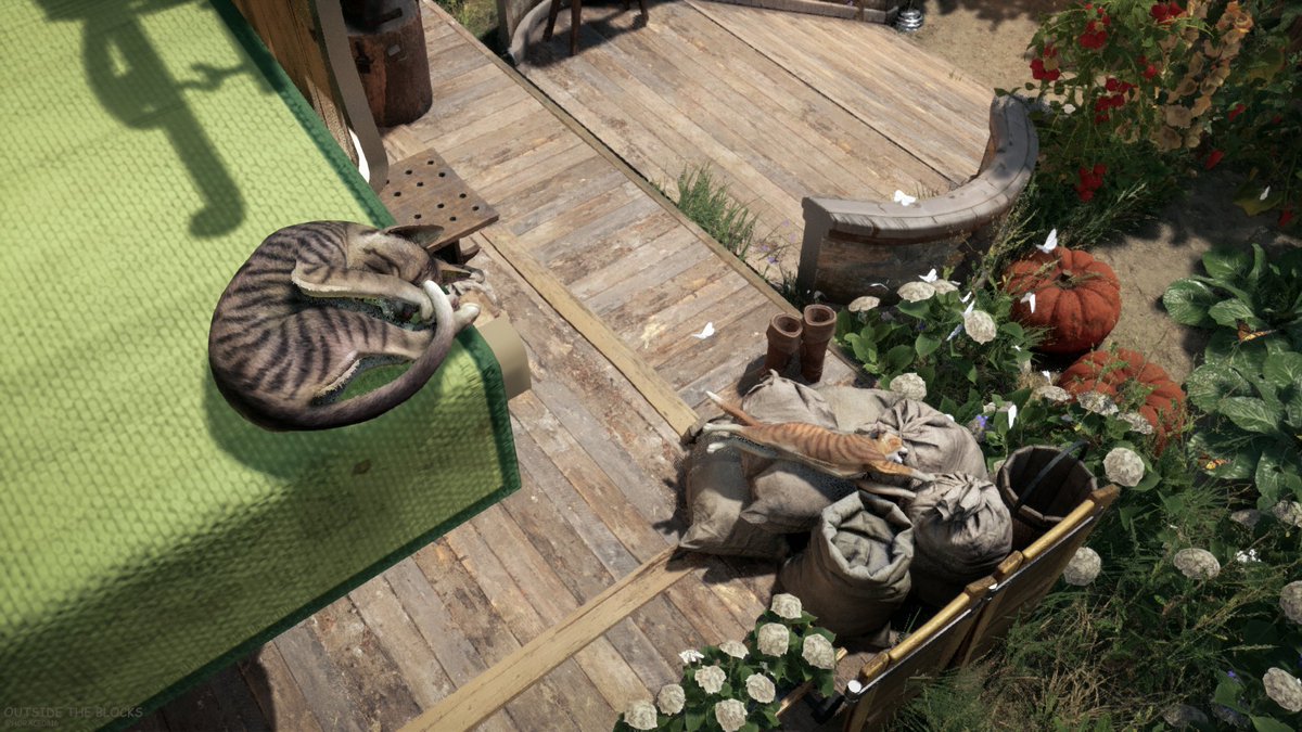 #OutsidetheBlocks #VirtualPhotography #ThePhotoMode #VPWorld #VPCONTEXT