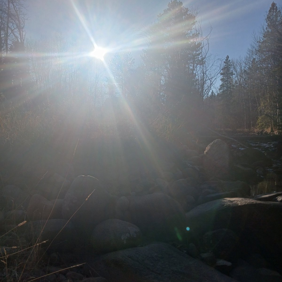 RLove (@ralove911) on Twitter photo 