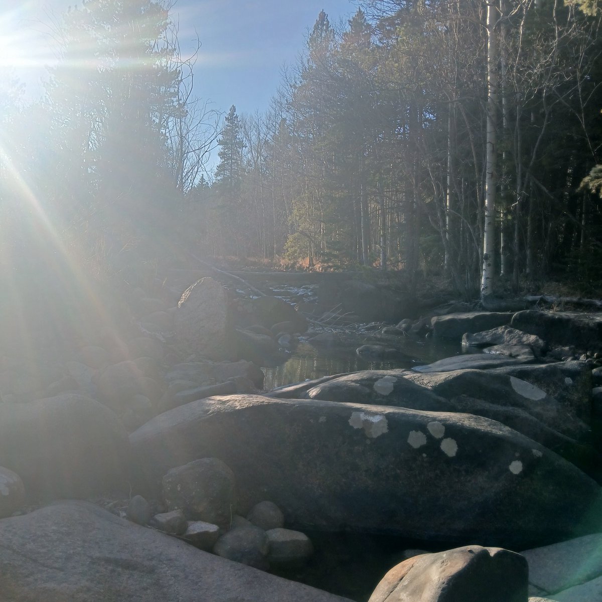 RLove (@ralove911) on Twitter photo 