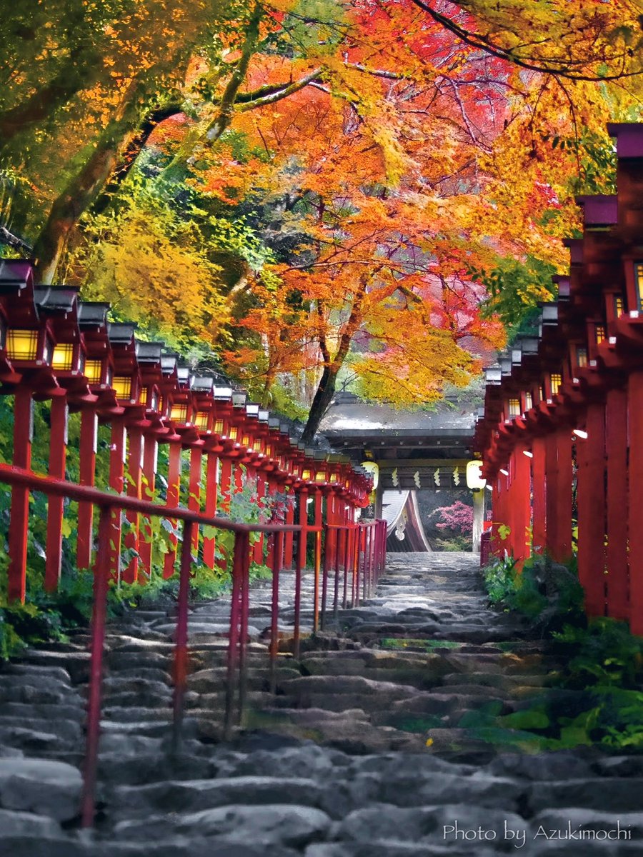 めぐページ Sd.Kfz. 251/1 Ausf. D mit 7,5 cm PaK 40 Dragon 6664