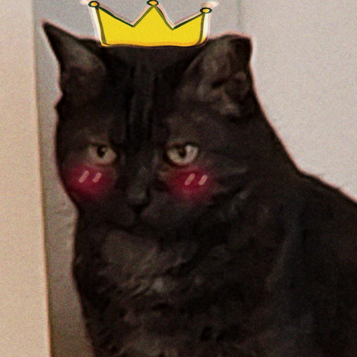 Yuemie_art's tweet photo. Art is not arting today.
Sleep isn’t an option, so I’m letting my brain wander while I rewatch TWD for the 100th time.
#thoughts #post #sleepy #Cat #uiia https://t.co/G2tBu2x5sU