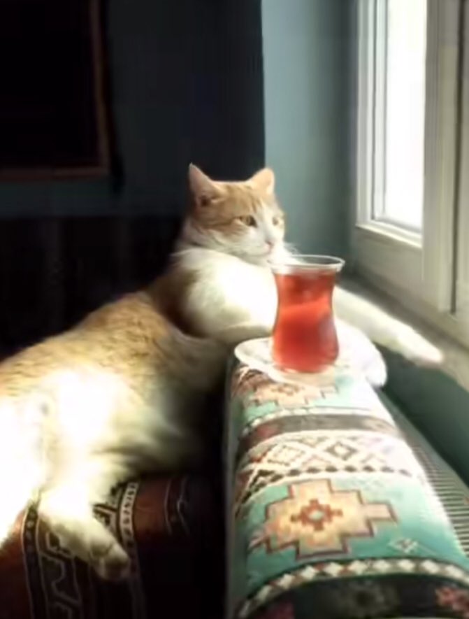 sd_gss's tweet image. 