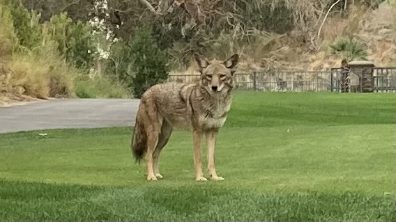 Doc Rock tweet media