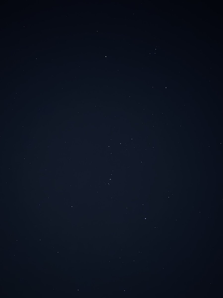 دانـه tweet media