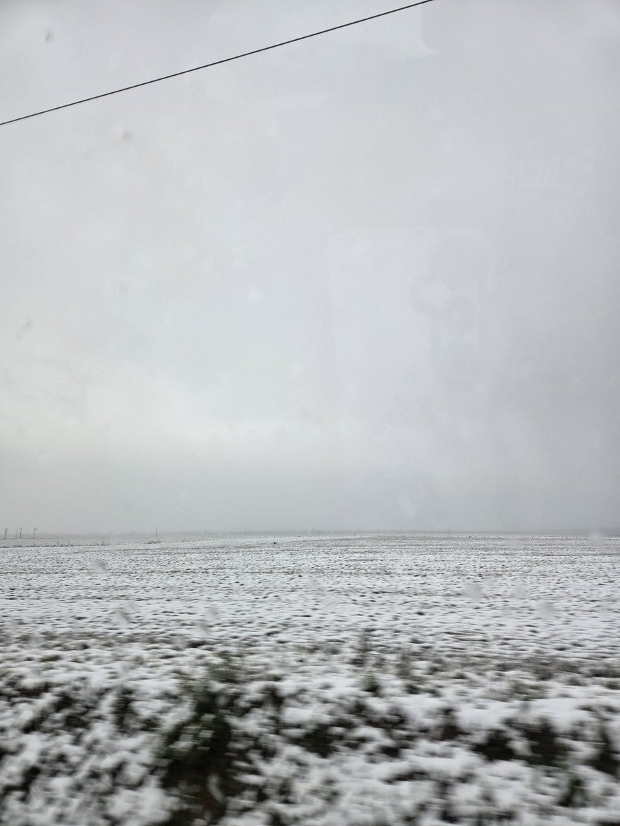 patricia_cseh's tweet image. ついに雪が降った！❄️😍

Finally it was snowing! 🤍