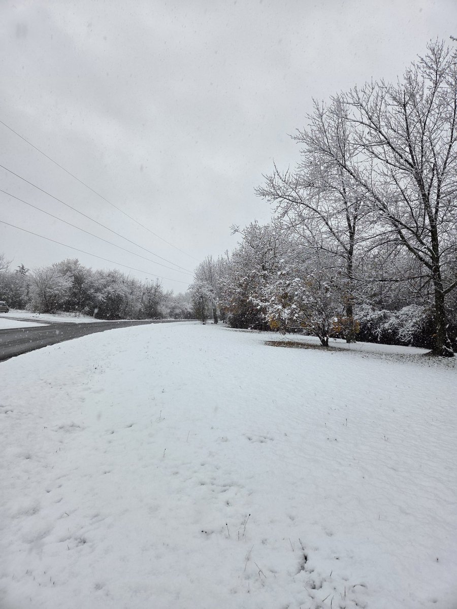 patricia_cseh's tweet image. ついに雪が降った！❄️😍

Finally it was snowing! 🤍