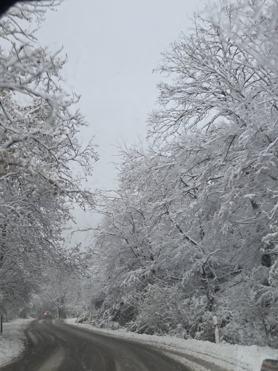 patricia_cseh's tweet image. ついに雪が降った！❄️😍

Finally it was snowing! 🤍