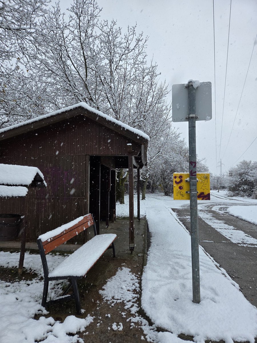 patricia_cseh's tweet image. ついに雪が降った！❄️😍

Finally it was snowing! 🤍