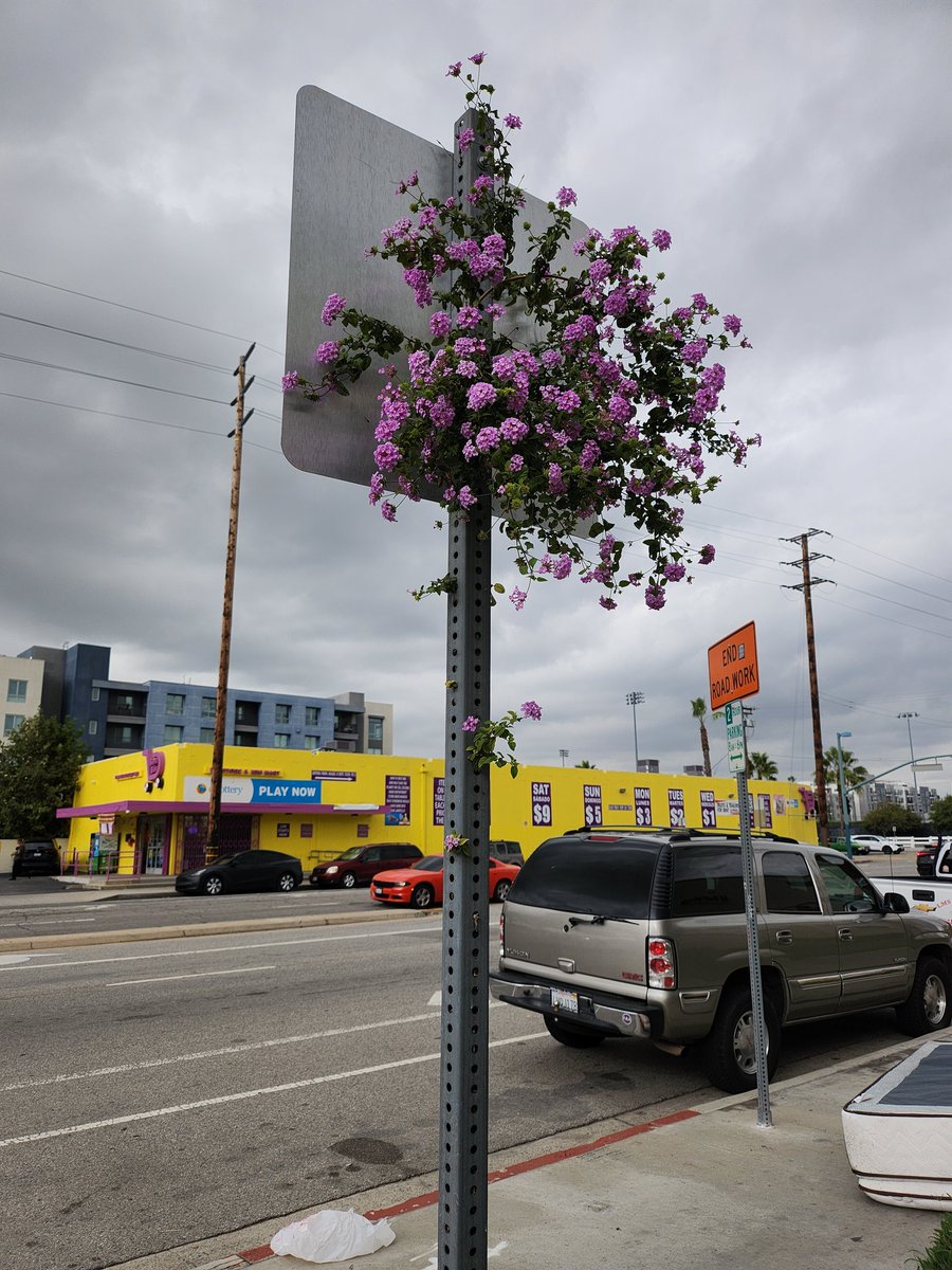 Life uhhh finds a way 🦕