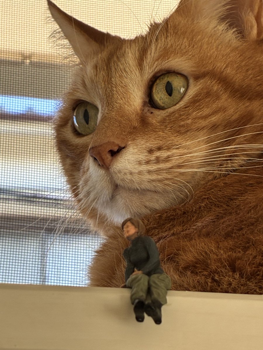 sora (@sora_L715) / Posts / X