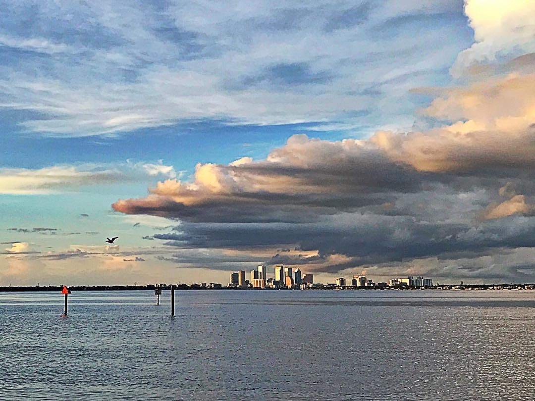JABinJax's tweet photo. Downtown Tampa Over Hillsborough Bay - 8.6.19
#roamflorida #floridablanca #florida #exploreflorida #floridaexplored #tampa #tampabay #hillsboroughbay #bayshoreblvd #southtampa #ballastpoint #hillsboroughcounty #sunset #floridasunsets #clouds #saltlife #rawflorida #raw_florida_ https://t.co/ROybPeoM4s