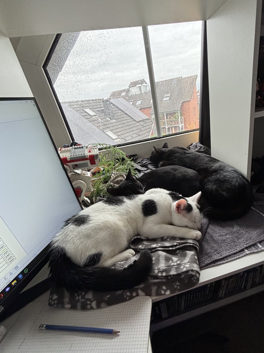 fynn_oder_so's tweet image. schlafen als würden sie hier das Geld verdienen