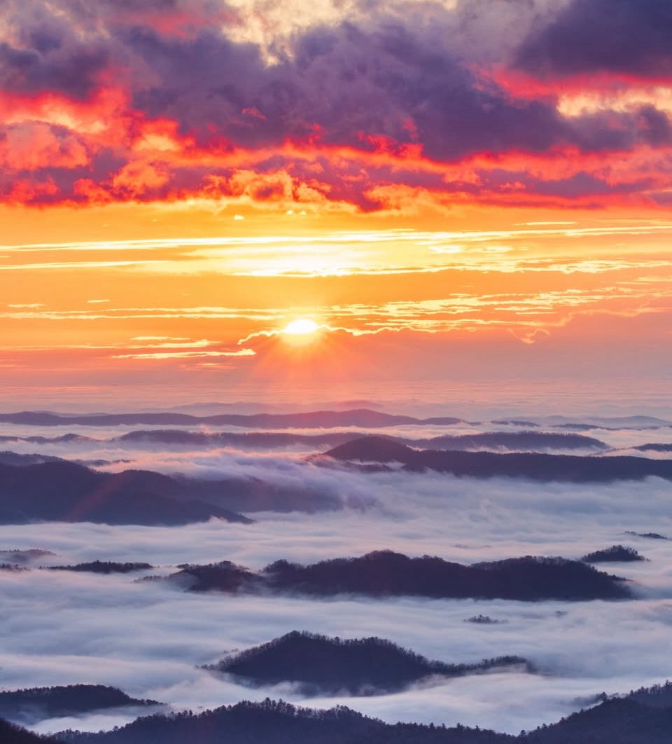 Have a great evening!
With love, from North Carolina! 🤠💋