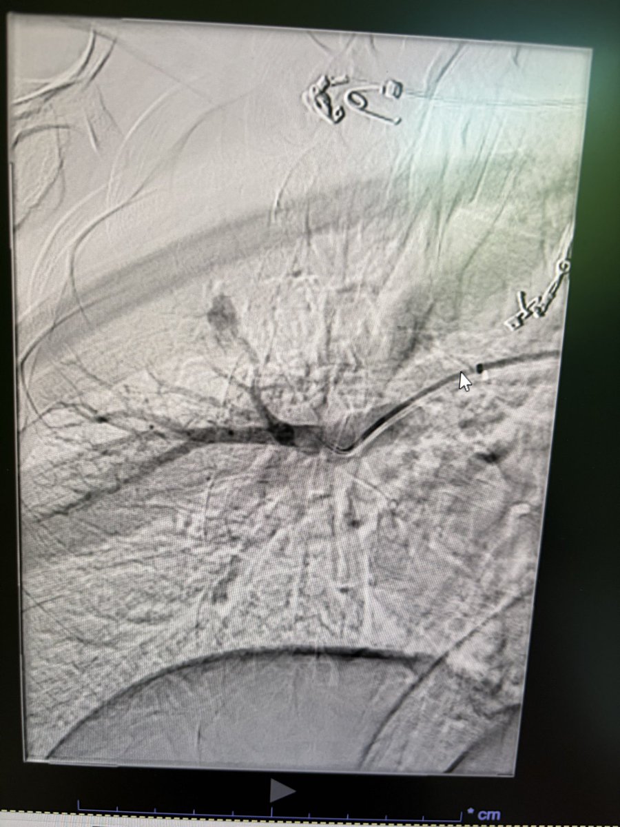 Manish Kumar Yadav tweet media