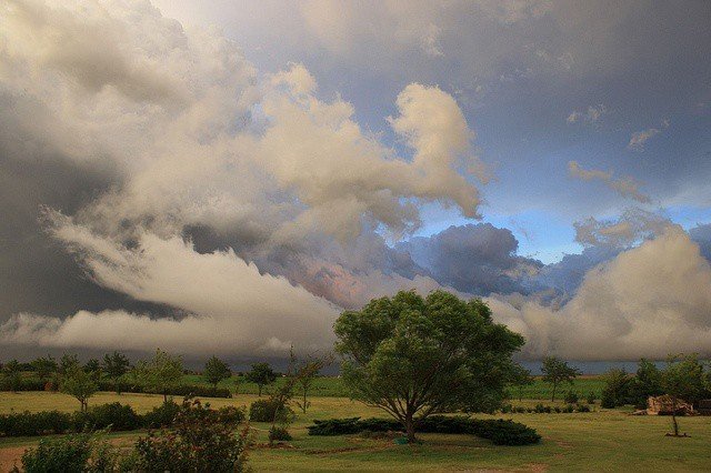 sorrrowfull's tweet image. 