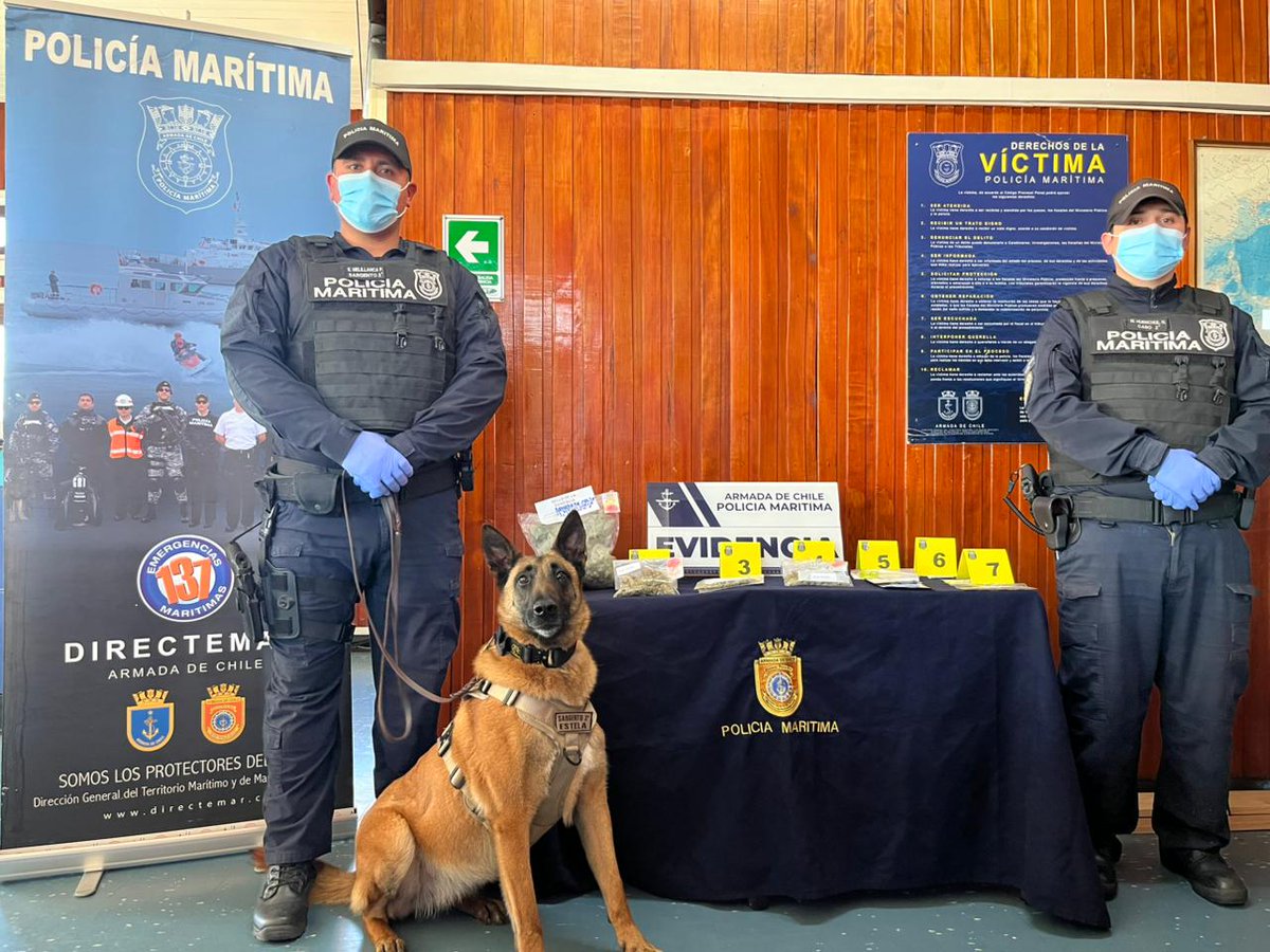Capuerto Ancud tweet media