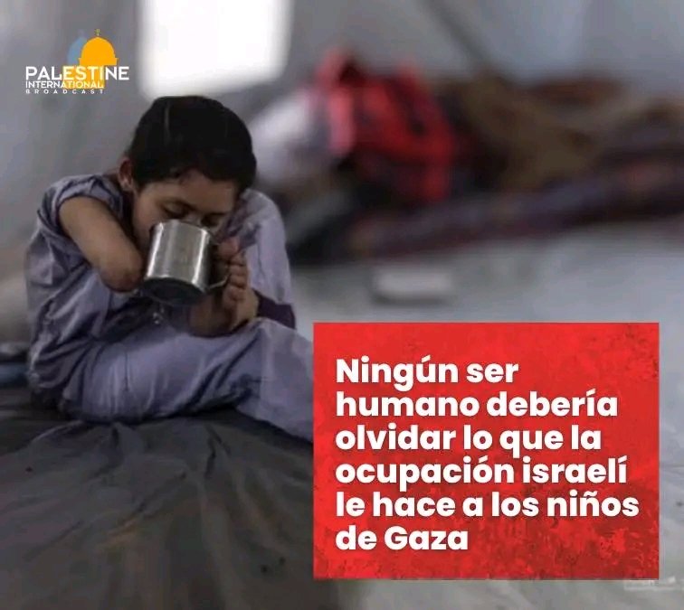 Ronald1969HT's tweet image. Ningún ser humano debería olvidar lo que la ocupación israelí le hace a los niños de Gaza.
#FreePalestine 
#IsraelIsATerroristState 
#NetanyahuWarCriminal