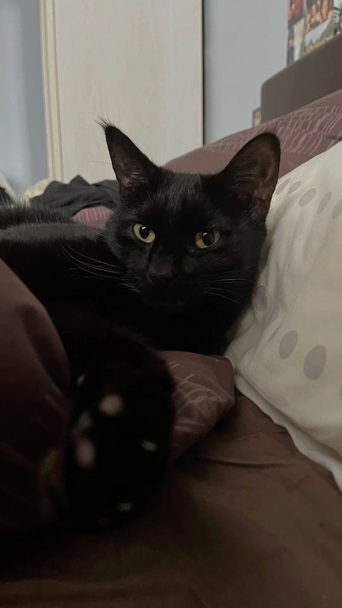 AnassSrifyy's tweet image. Even when you are in profit don’t forget to Backtest , new week new opportunity traders 🙌🏻