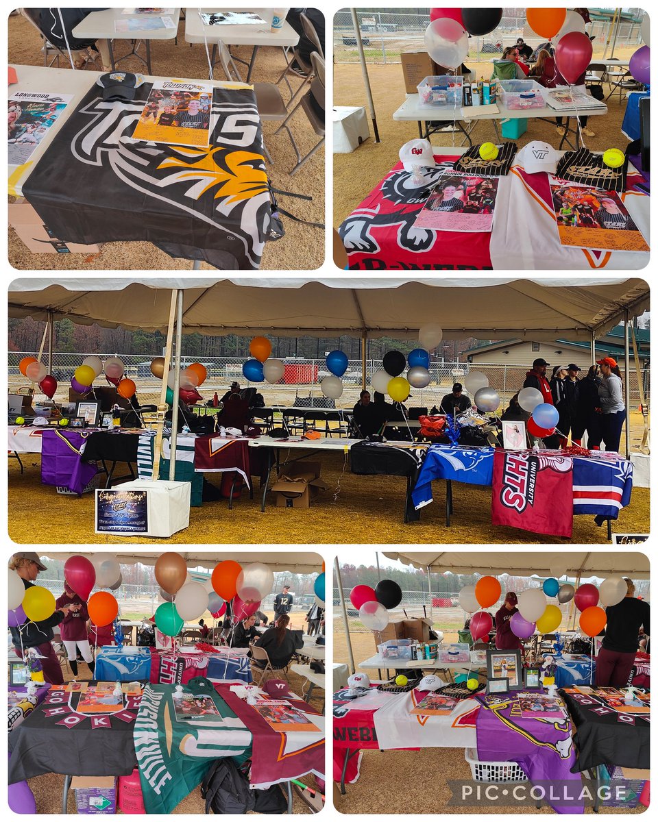 Starz Gold 18u (Bunn) tweet media