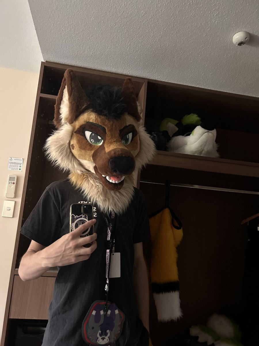 Safely arrived at furcoNZ! #fursuit #furcoNZ