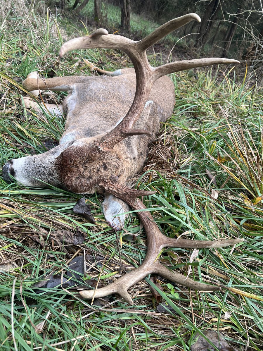 Got it done today, thank you Lord for these beautiful animals. Got an old bruiser today. 🦌
