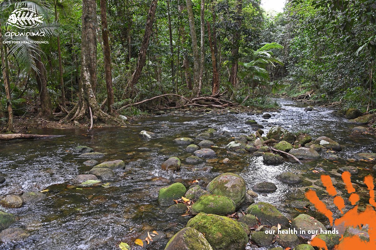 Apunipima tweet media