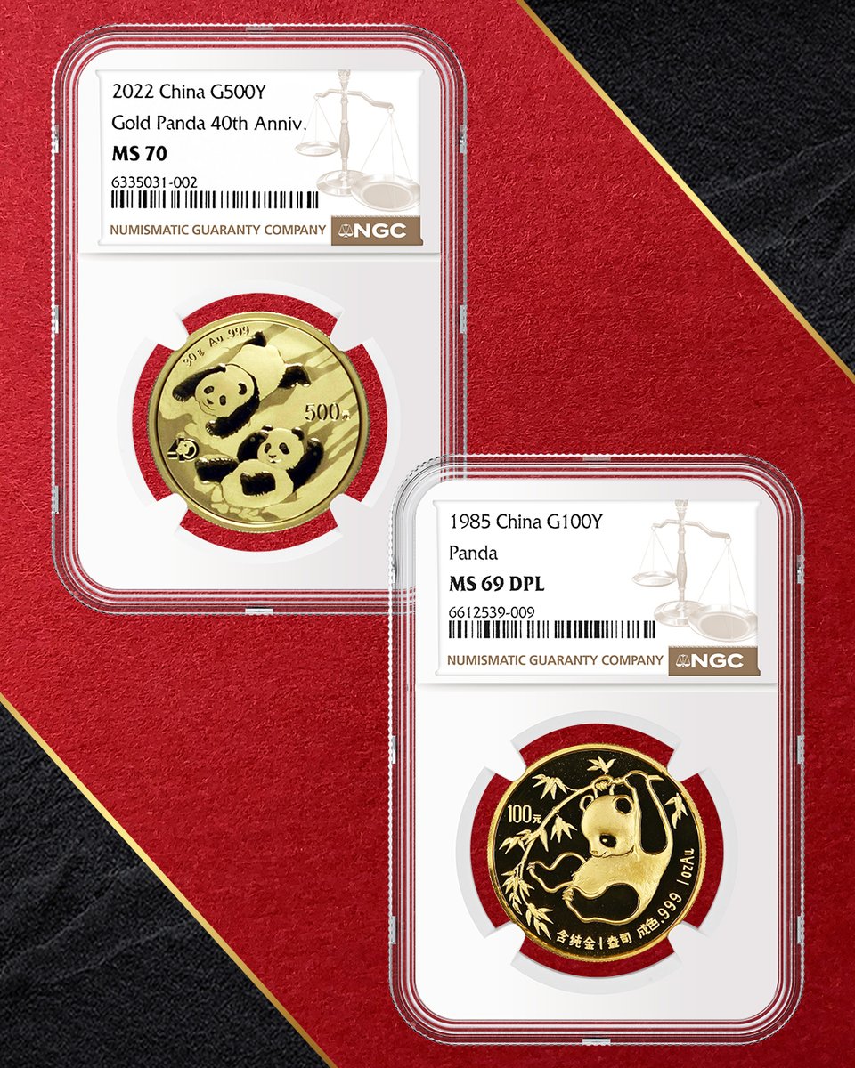 NGCcoin's tweet image. With the recent release of China's 2026 Pandas, we decided to take a look at a top NGC Registry set of gold Pandas. Learn more about this adorable award-winning set: NGCcoin.com/news/article/1… #moderncoins #goldcoins