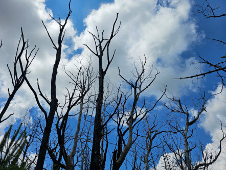 Klimagipfel geht ohne Exitplan für Kohle, Öl und Gas zu Ende / 23.11.2025 dlvr.it/TPQ9DN