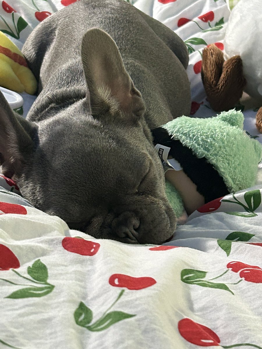 Cherry_kyu1's tweet image. Sleeping on my cherry comforter with my new crybaby bag charm 🫩 she is her mother’s daughter