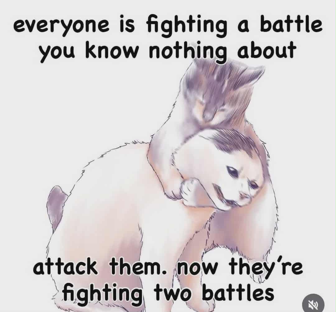 Rothmus 🏴 (@rothmus) on Twitter photo 