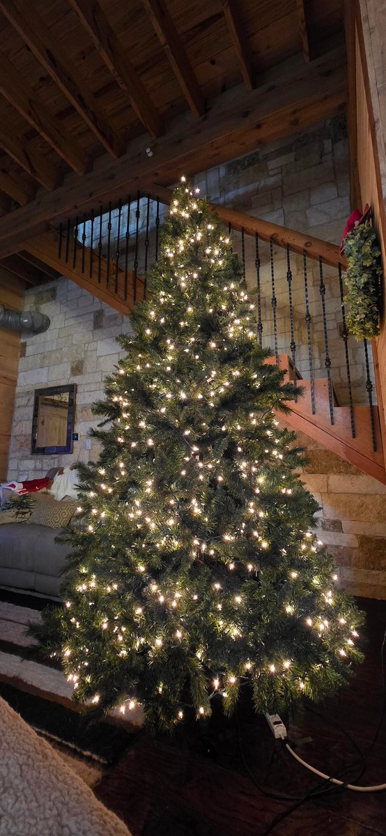 TeslaTakesOver's tweet image. Work in progress: 🎄
I always debate between clear and multi lights, so 2025 is a clear year ✨️