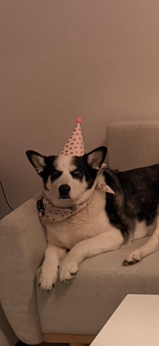 Bizim kıskançlık hasetlik (genel)