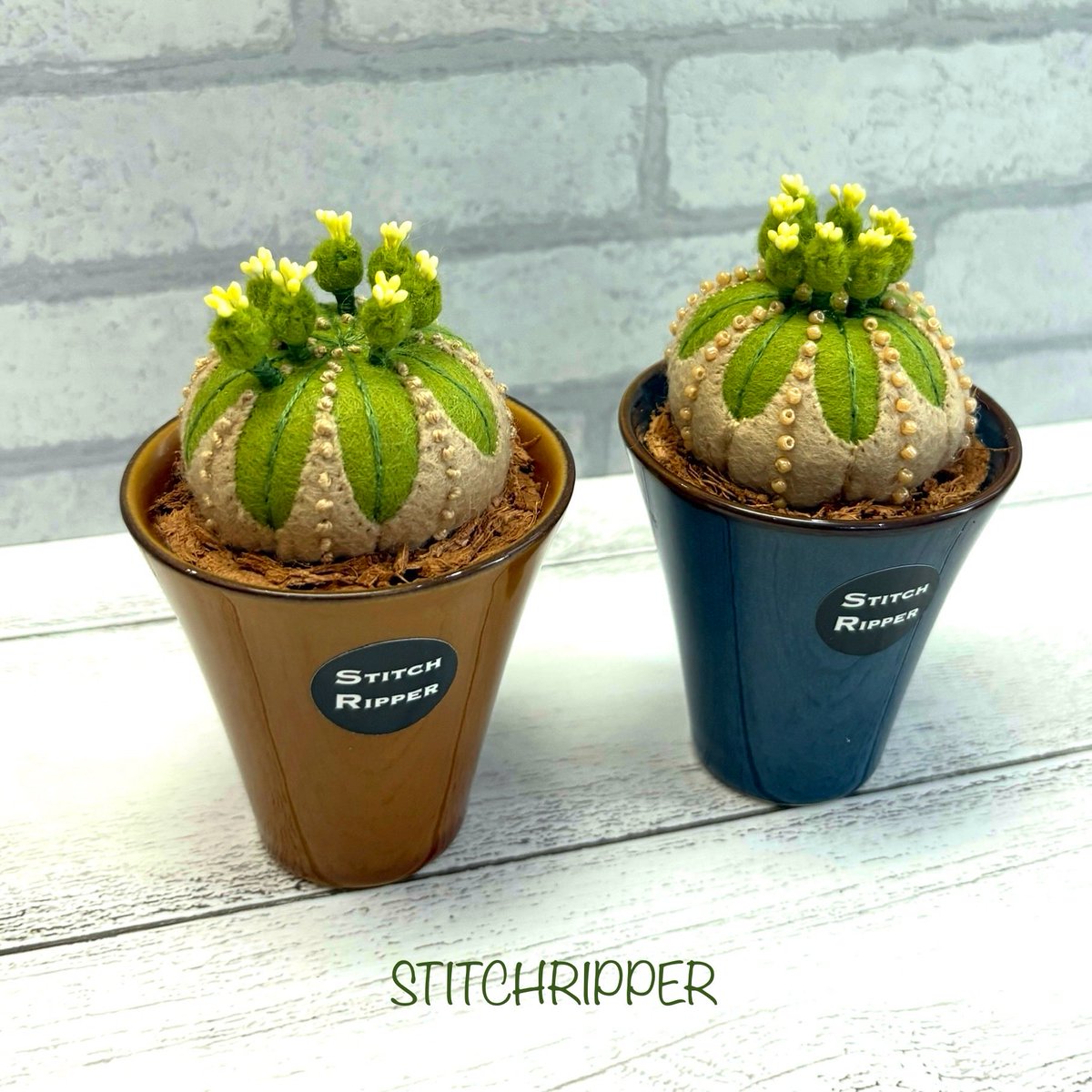 StitchripperD's tweet photo. 🌵木質化オベサです
#フェイクグリーン #fakegreen
#euphorbia #obesa
#stitchripper #スティッチリッパー https://t.co/K0bUXuHguy