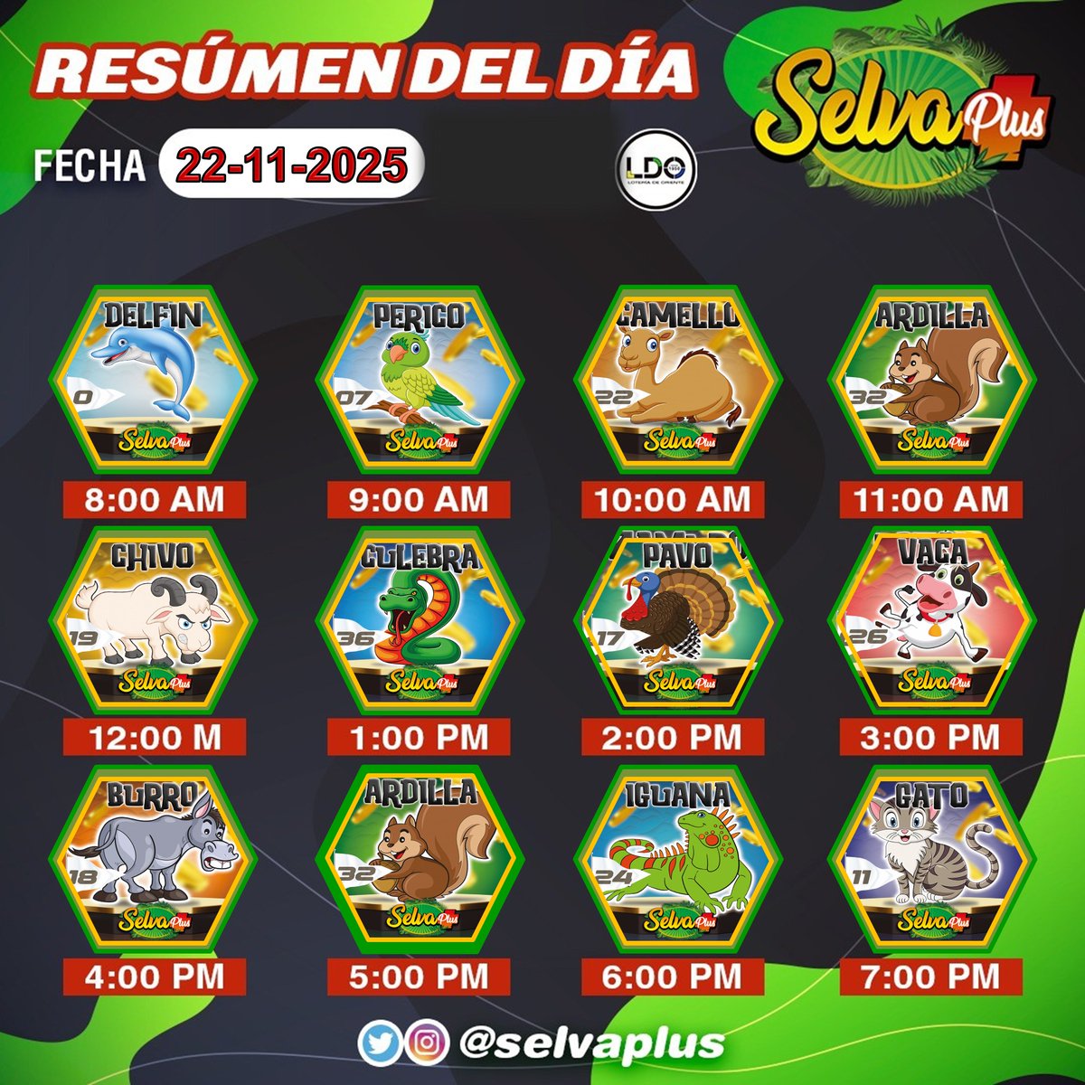 SelvaPlus's tweet image. 