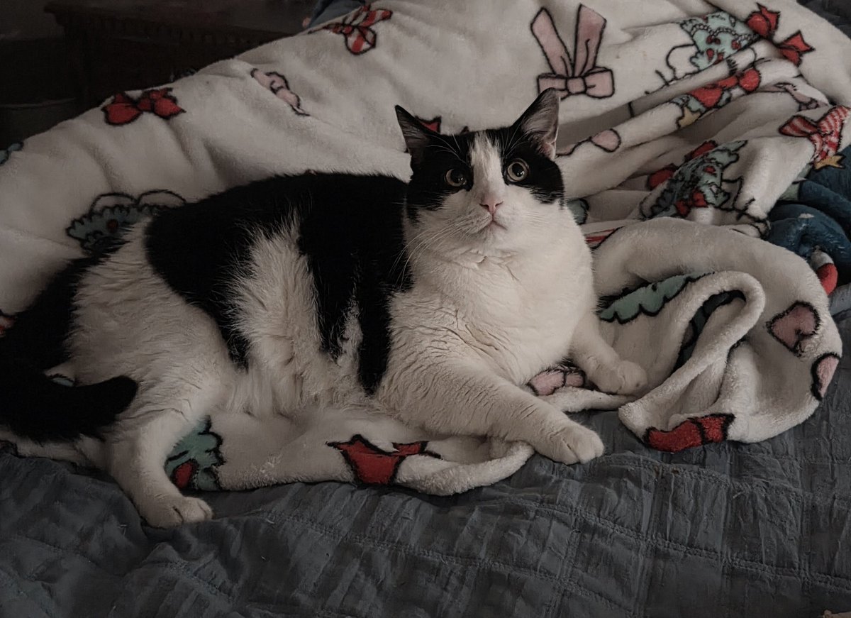 Ms. LuvyK tweet media