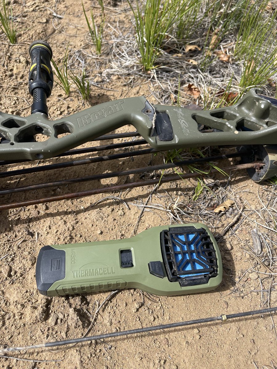 Got a big raccoon in Oklahoma that came walking down the creek. Was 80 degrees there last week and was still using <a href="/Thermacell/">Thermacell</a> in mid November. Anyone else fighting warm weather and skeeters in November?

<a href="/ScentBlocker/">ScentBlocker</a> 
<a href="/EastonArrows/">EastonArchery</a> 
<a href="/BearArchery/">Bear Archery</a>
<a href="/3RiversArchery/">3Rivers Archery</a>
<a href="/LeupoldOptics/">Leupold Optics</a>