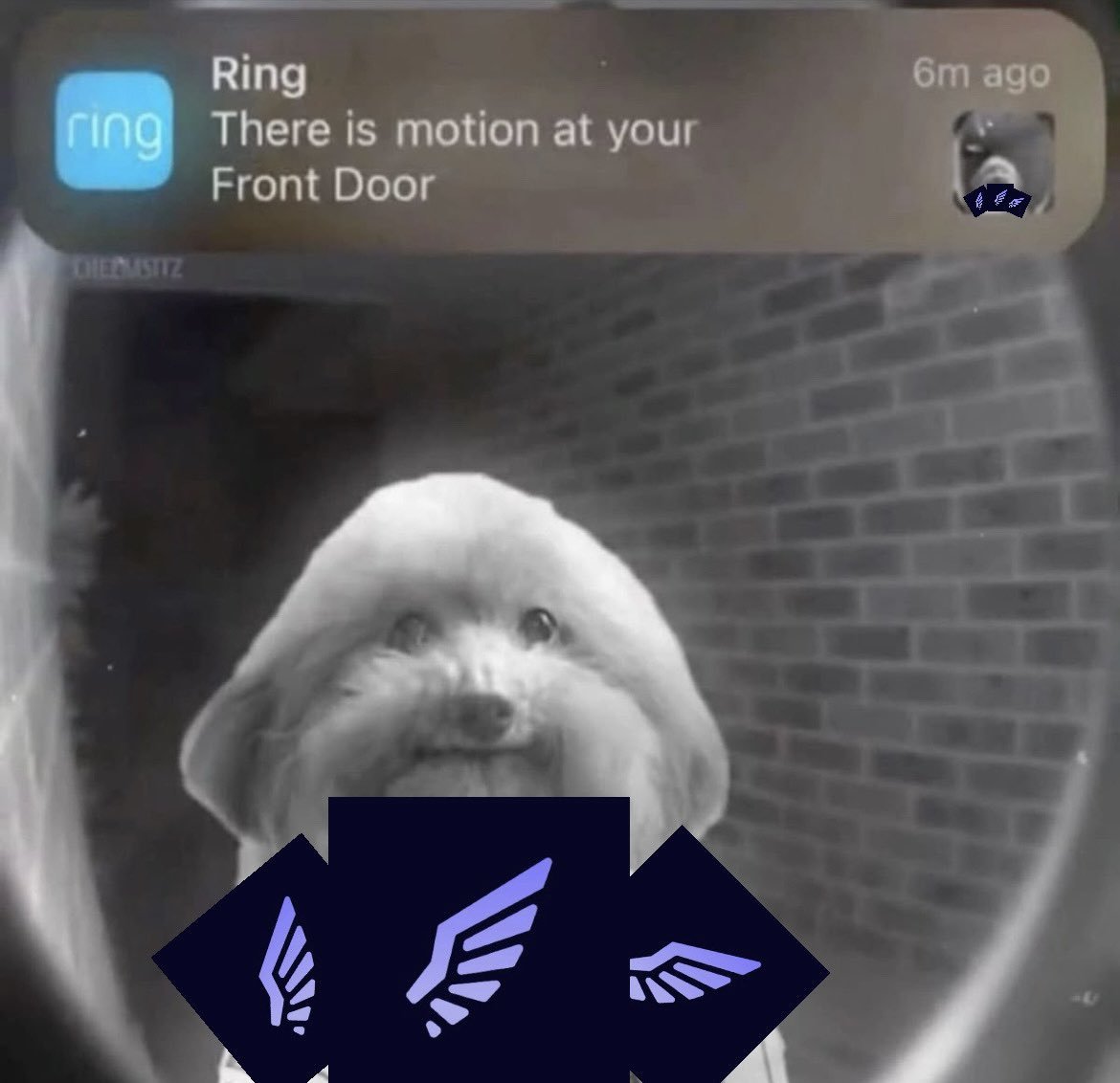 Jay (@trynalearnabt) on Twitter photo 