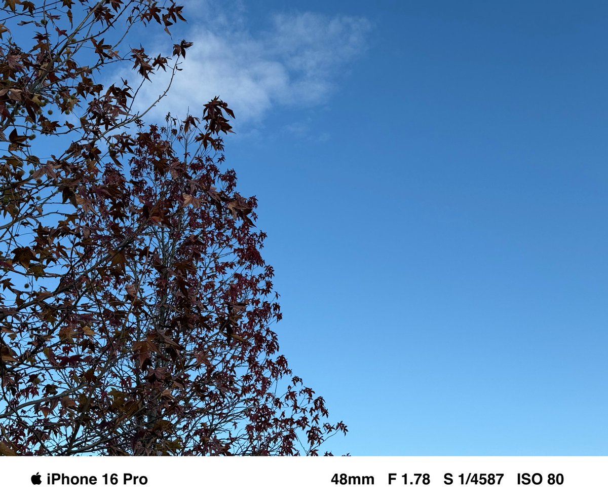 shig_szk's tweet image. #イマソラ #空 #iPhone16Pro #sky