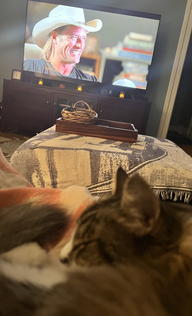 CharisseHake's tweet image. The @gettinglostdoc is free on @Tubi now. Showing my kitty Alex the show she and Linus were named after 🏝️