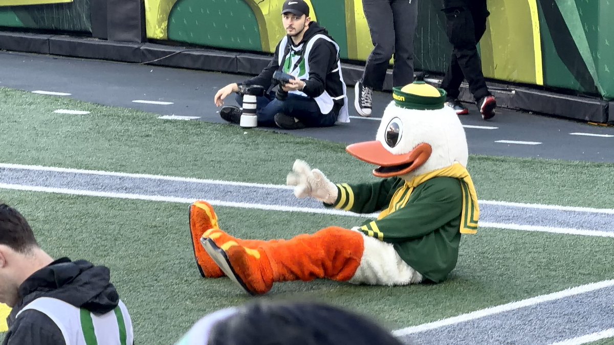 Brian McLaughlin tweet media