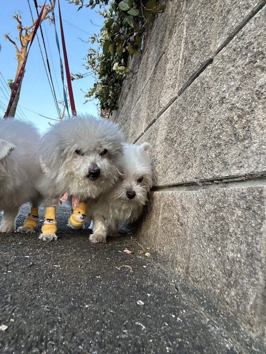 ハルくん (@9Z8lquSv8B3FMpN) / Posts / X