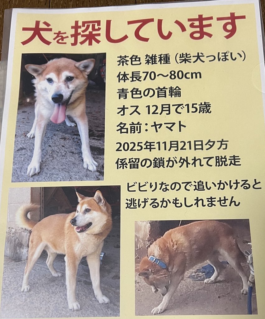 blaze（ブレイズ） (@alchemistblaze) / Posts / X