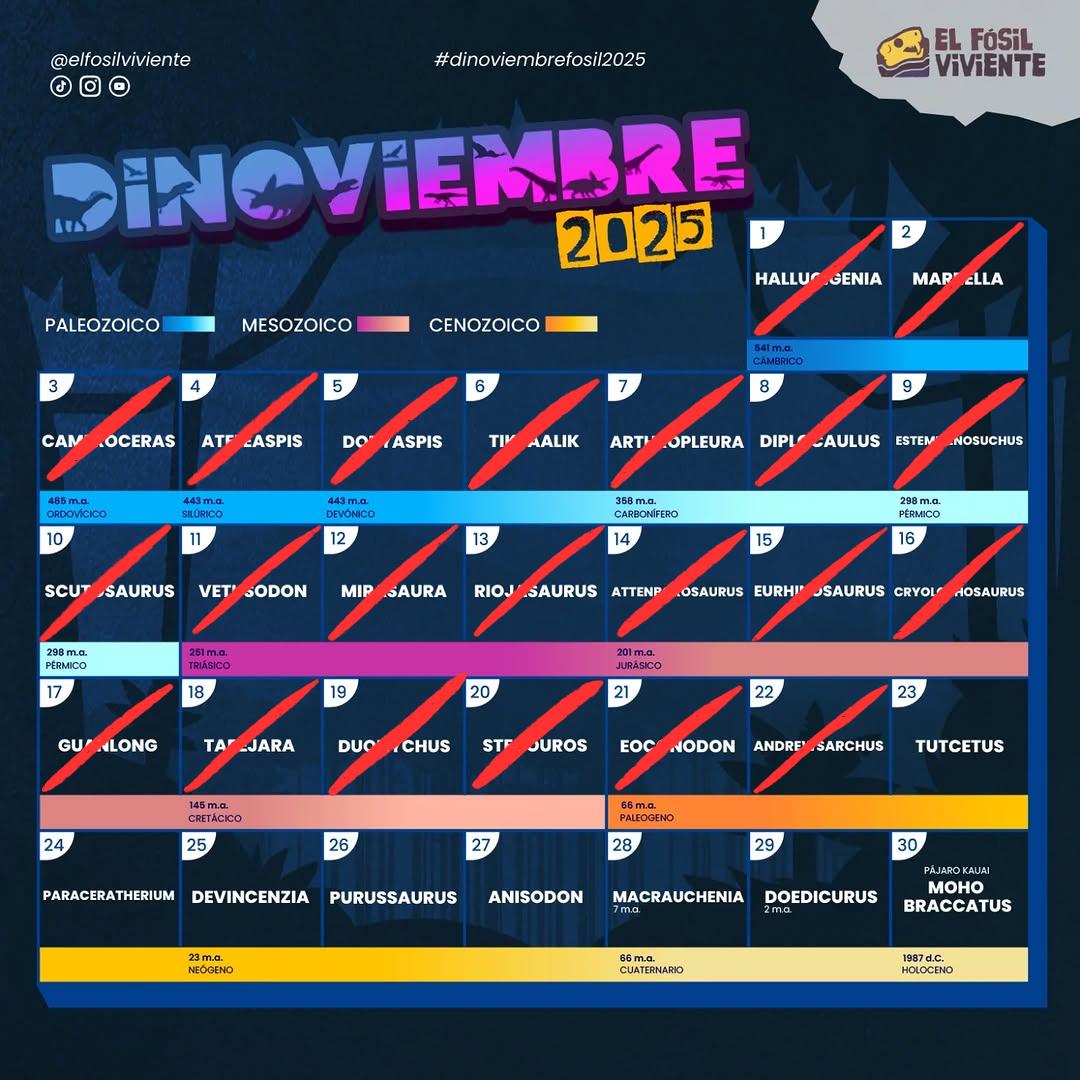 JeremyRengifo2's tweet image. Día 21 de Dinoviembre - Andrewsarchus
King está disfrutando el mejor cumpleaños de su vida, ¿Cómo es posible que este cabalgando un Andrewsarchus?
#Art #Digitalart #paleoart #dinoviembre2025 #dinoviembrefosil2025 #elfosilviviente #andrewsarchus